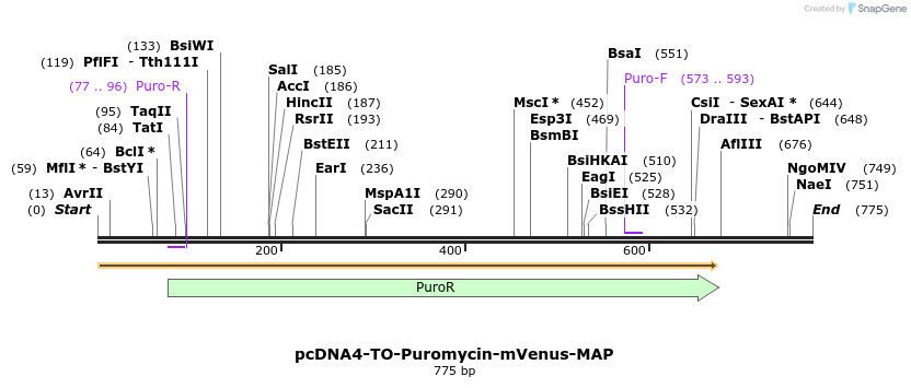 61141_map