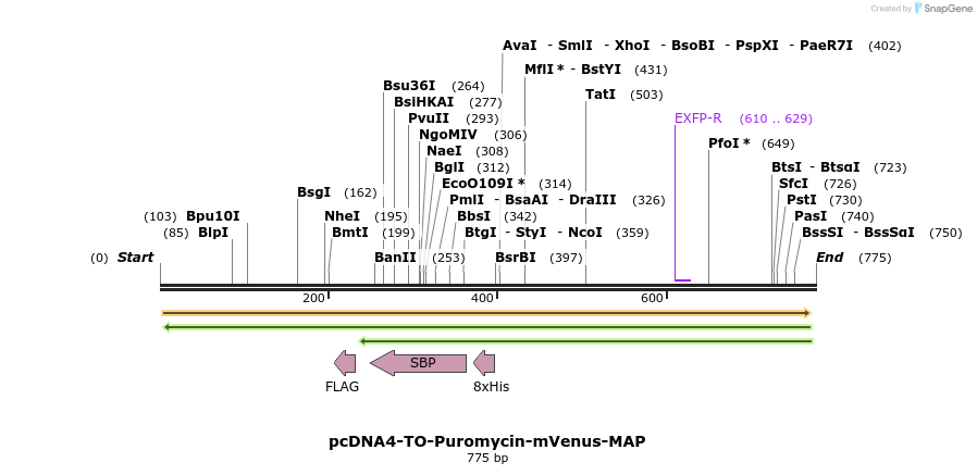 61144_map