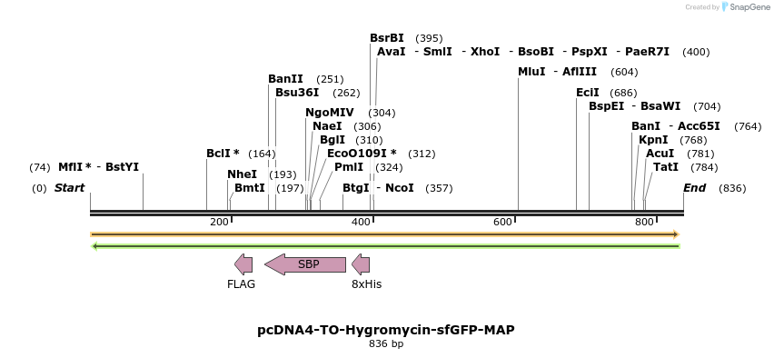 61146_map
