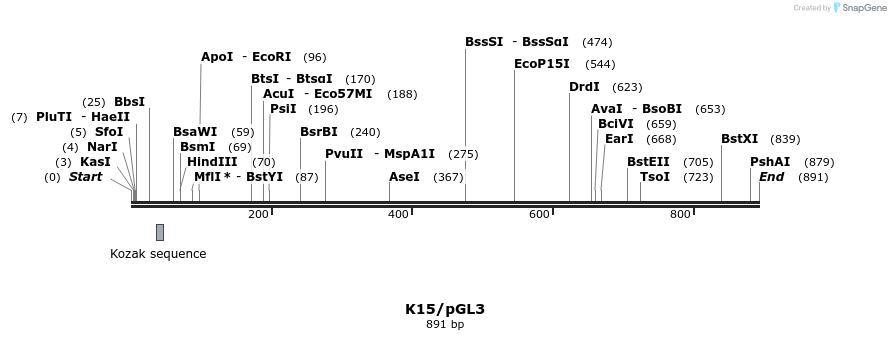 61147_map