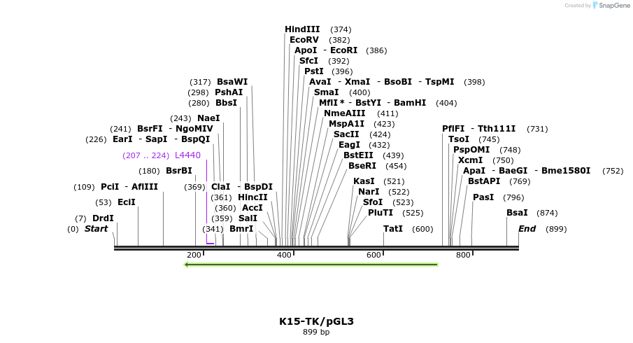 61148_map