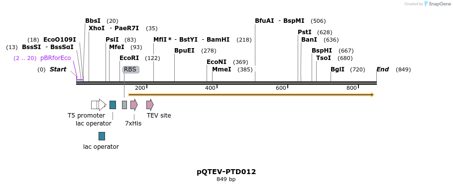 61154_map