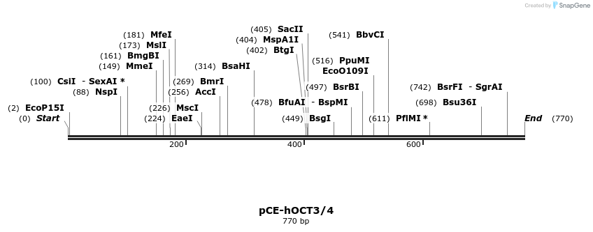 61156_map