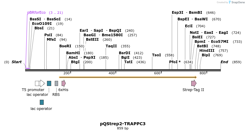 61157_map