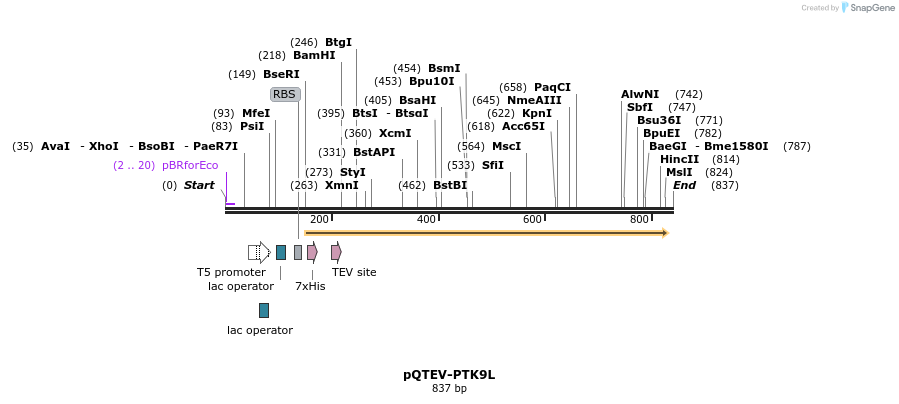 61159_map