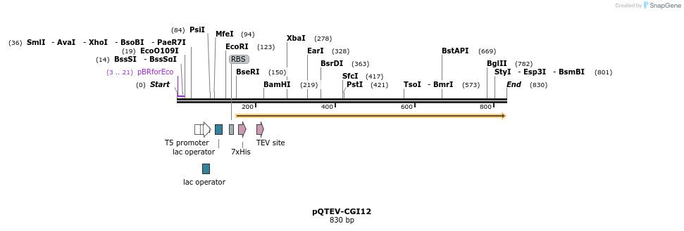 61161_map