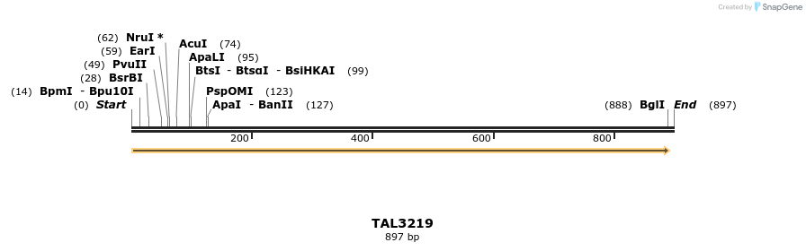 61164_map