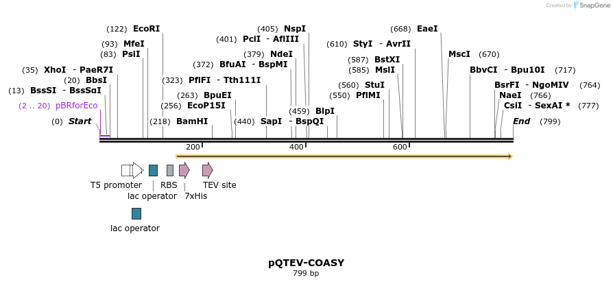 61167_map