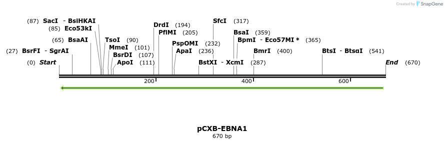 61170_map