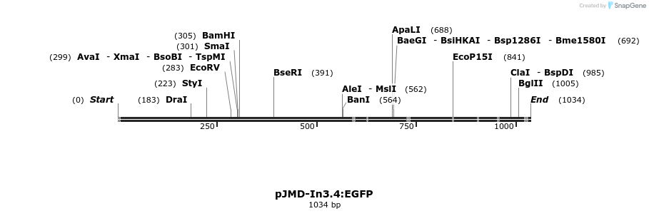 61174_map