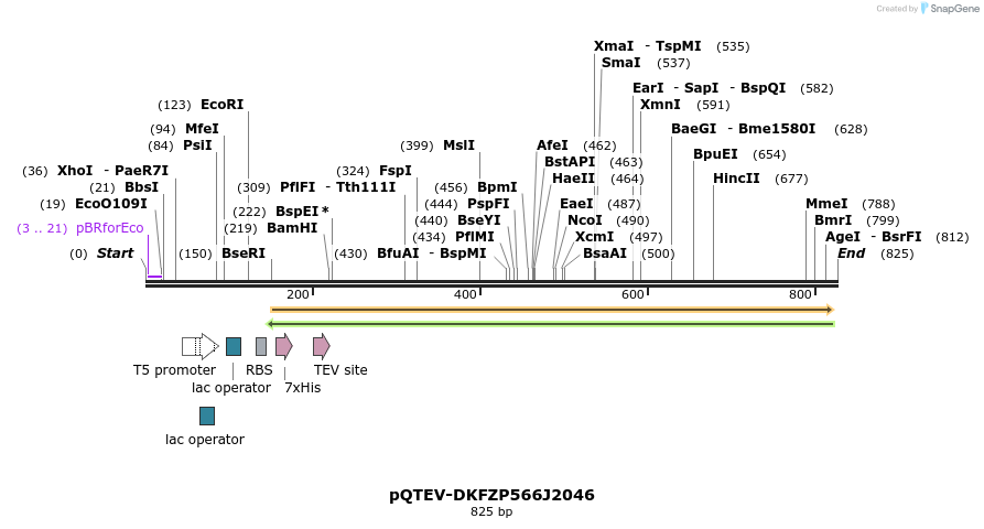 61177_map