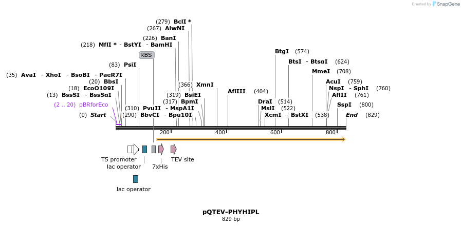61180_map