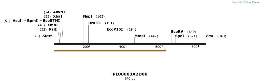 61183_map