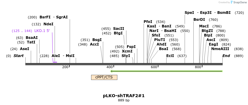 61184_map