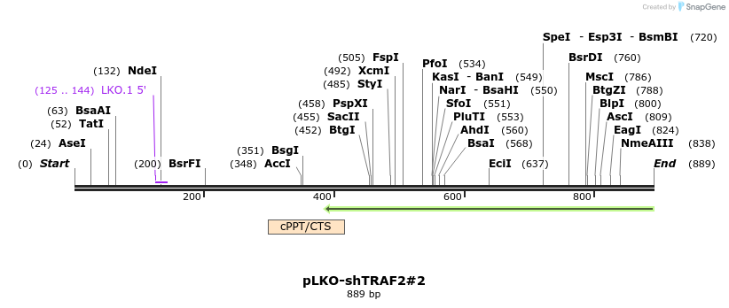 61185_map
