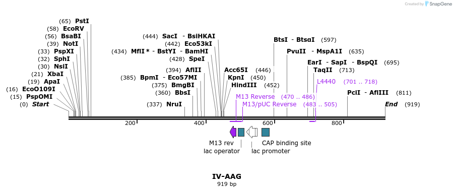 61187_map