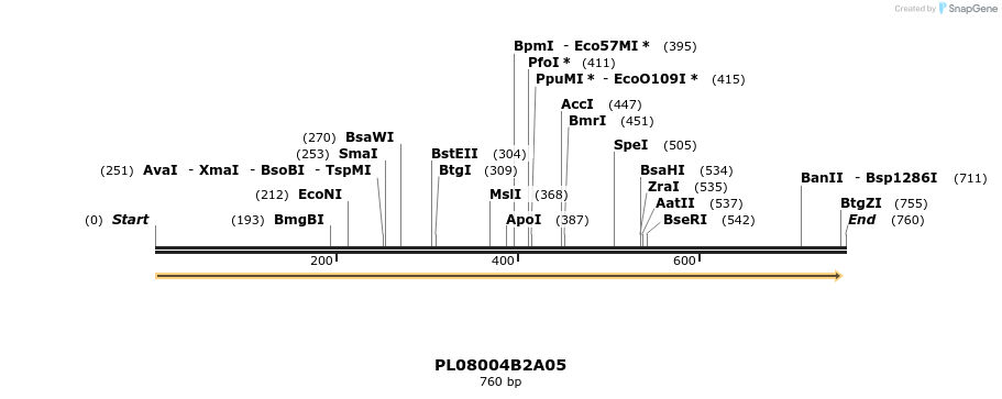 61189_map