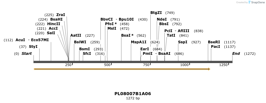 61190_map