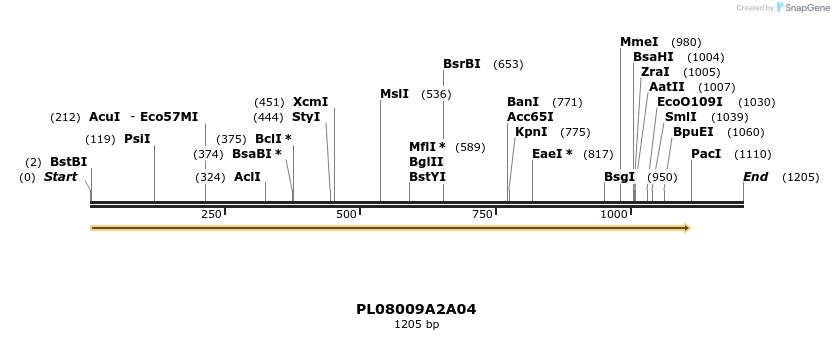 61191_map
