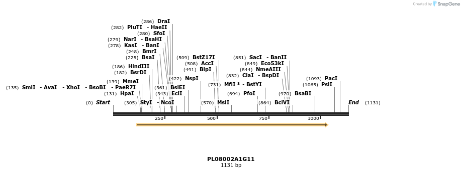 61193_map