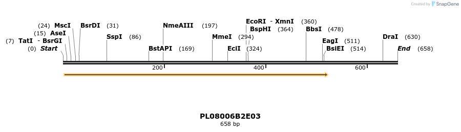 61194_map