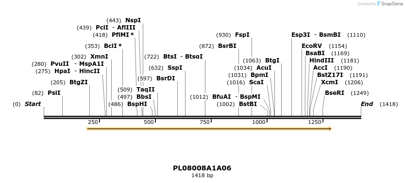 61196_map