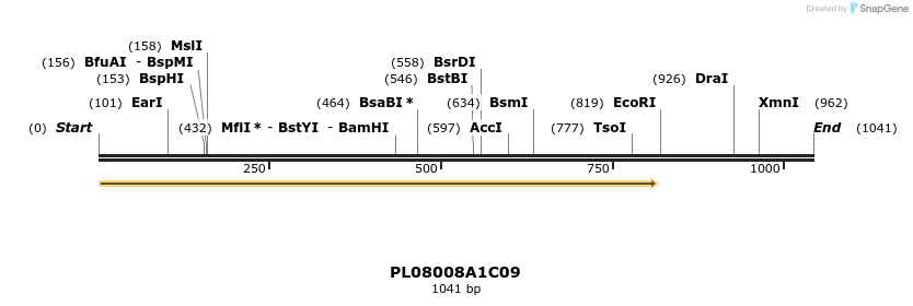 61197_map