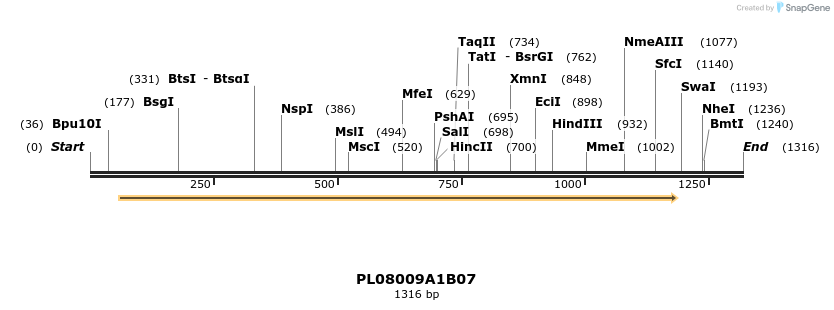 61198_map