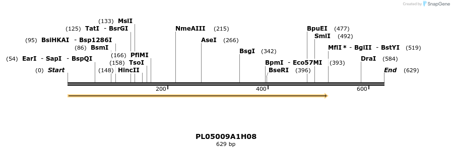 61200_map