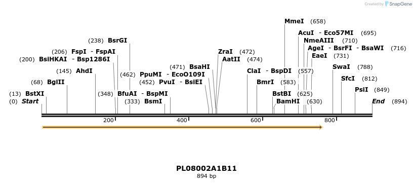 61201_map