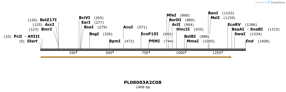 61203_map
