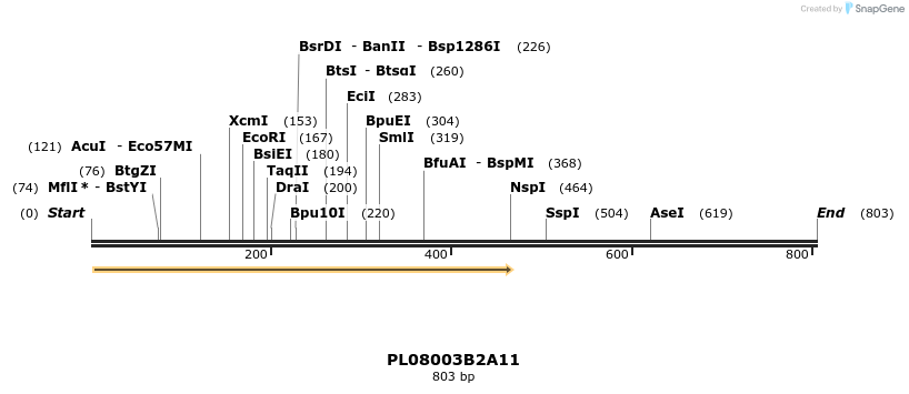 61204_map