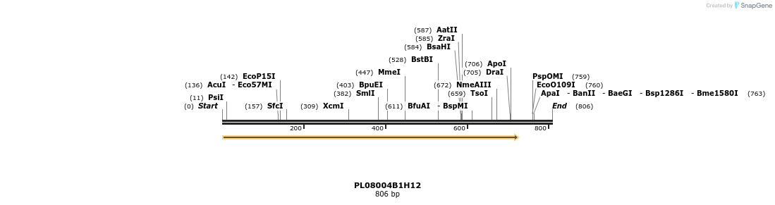 61206_map