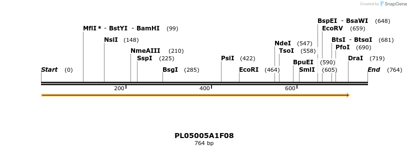 61207_map