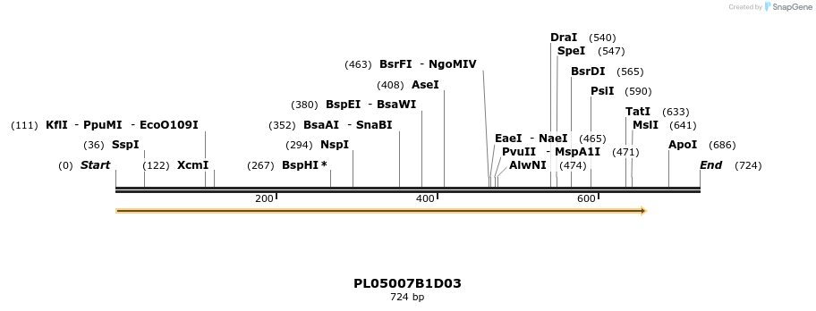 61208_map