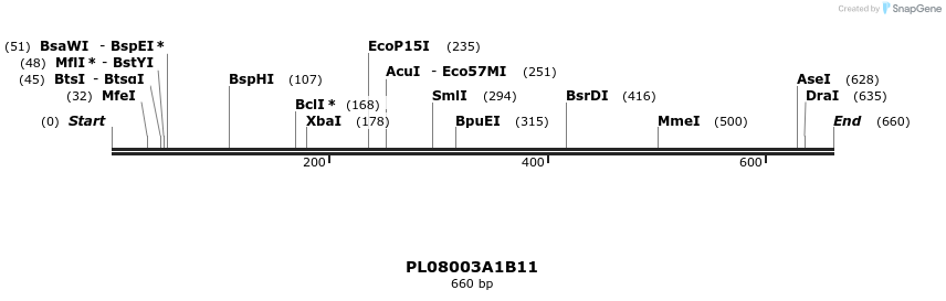 61209_map