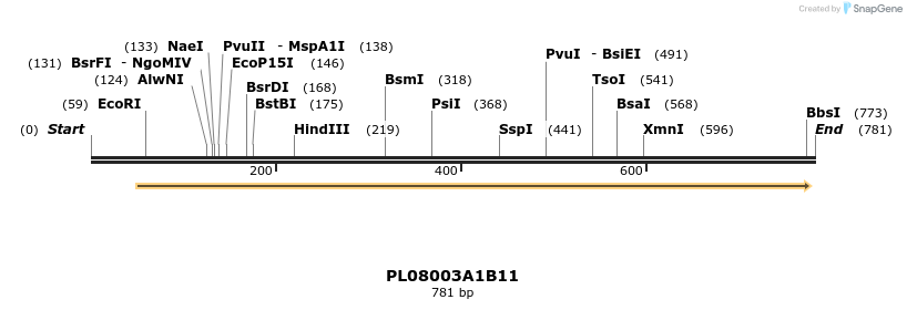 61210_map