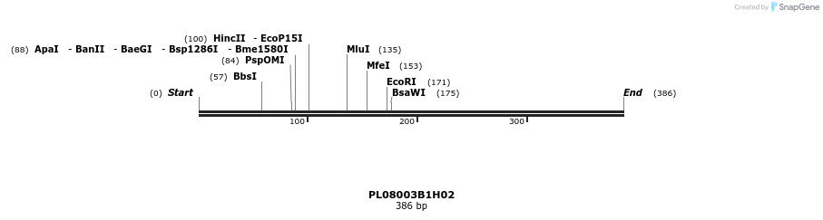 61211_map