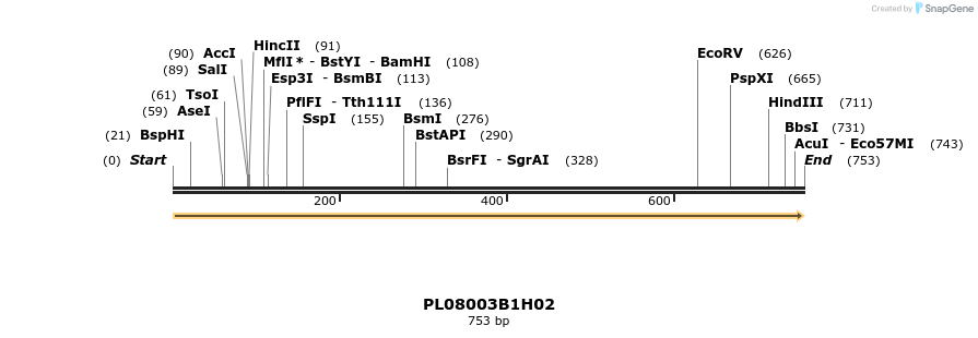 61212_map
