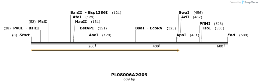 61213_map