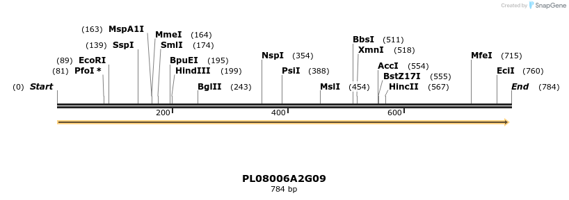 61214_map