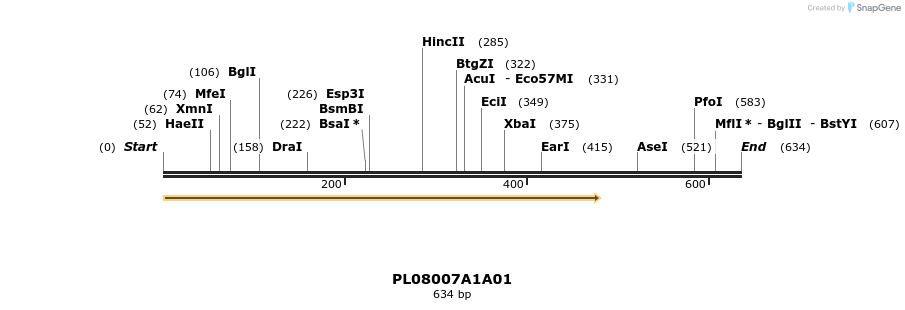 61215_map