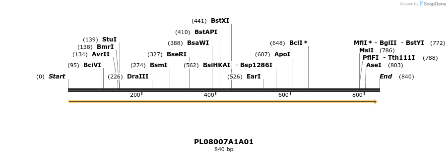 61216_map