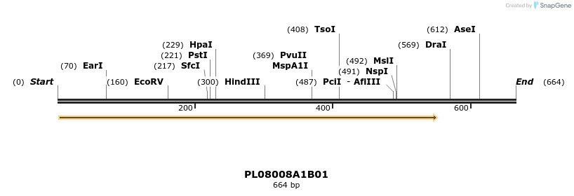 61217_map