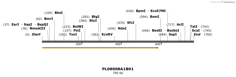 61218_map