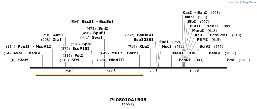 61219_map