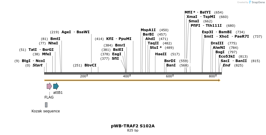 61227_map