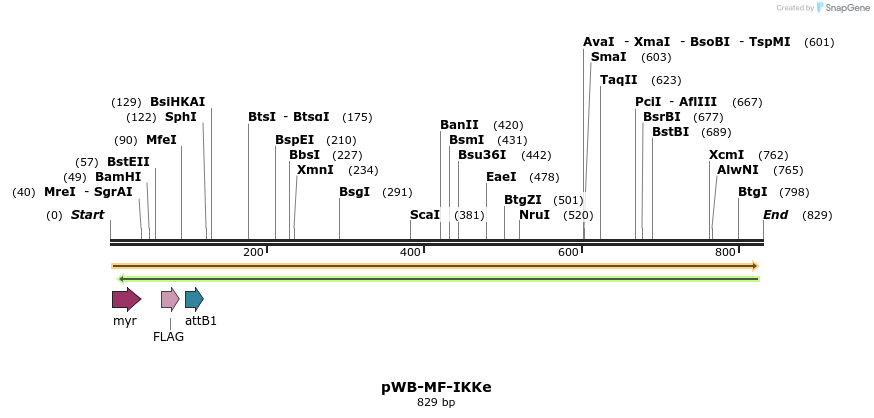 61231_map