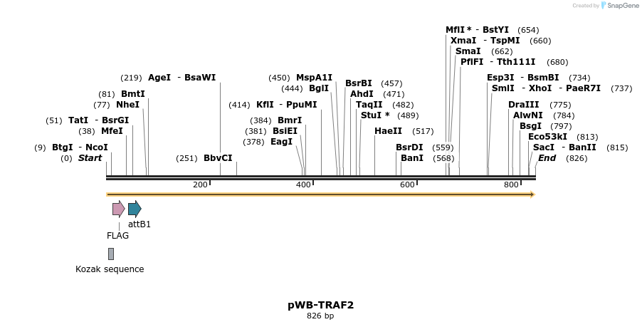 61233_map