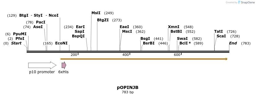 61236_map